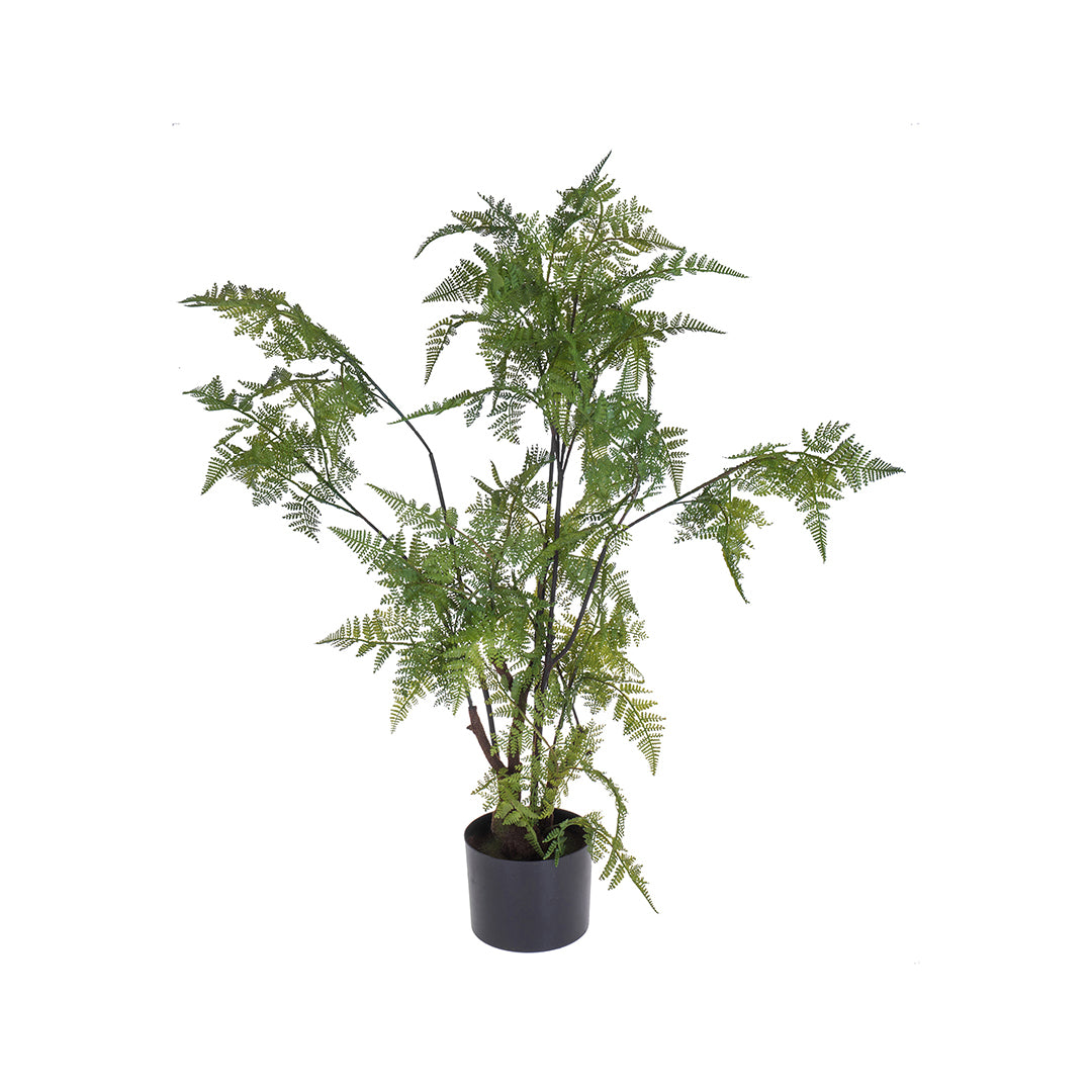 Verde artificiale Pianta felce con vaso • 80 cm