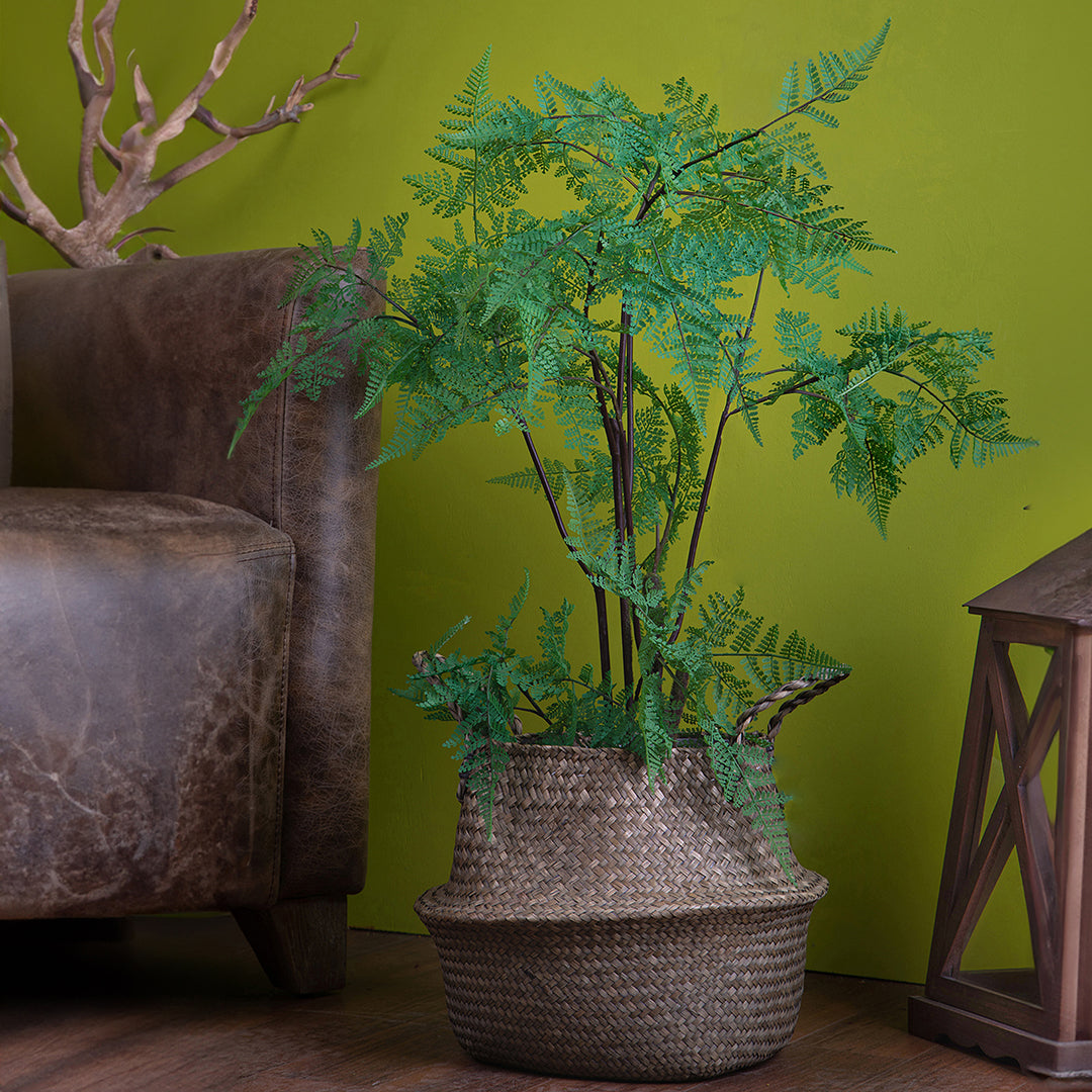 Verde artificiale Pianta felce con vaso • 80 cm