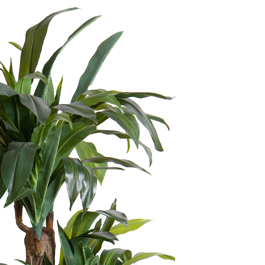 Tronco della felicità artificiale in vaso • 150 cm