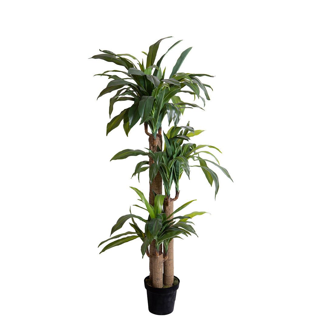 Tronco della felicità artificiale in vaso • 150 cm