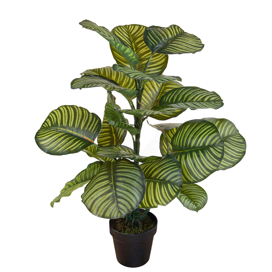 Verde artificiale Calathea in vaso con 22 foglie • 85 cm