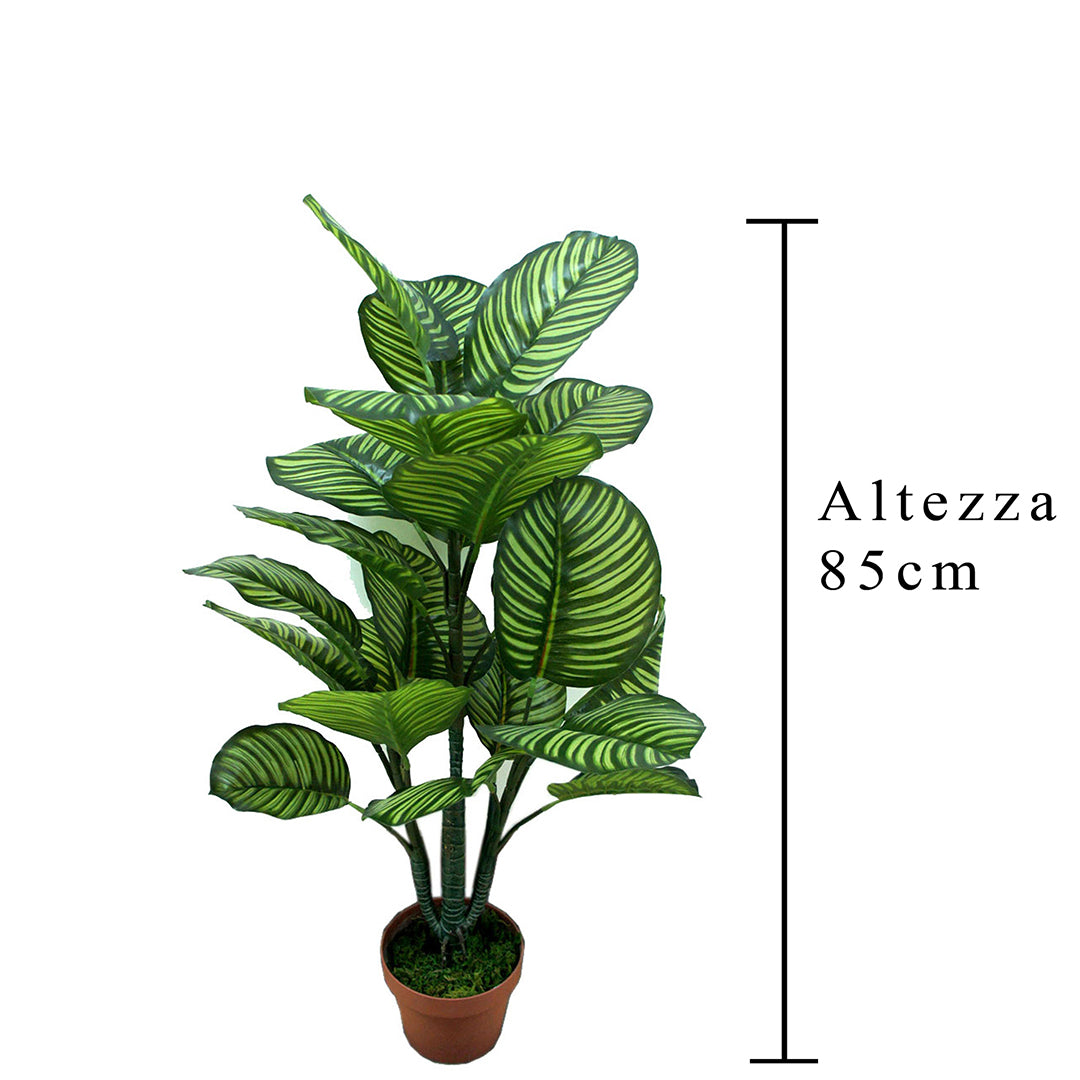 Verde artificiale Calathea in vaso con 22 foglie • 85 cm