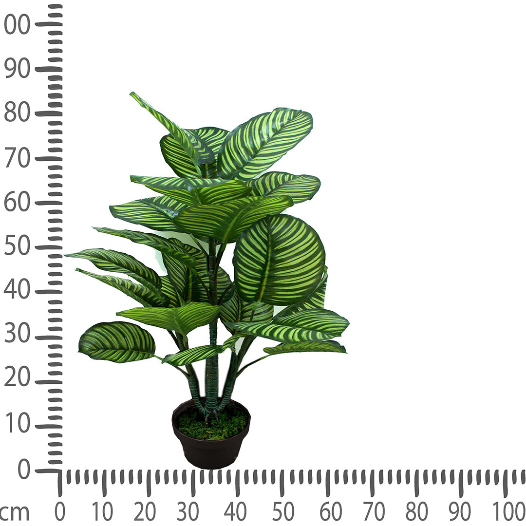 Verde artificiale Calathea in vaso con 22 foglie • 85 cm