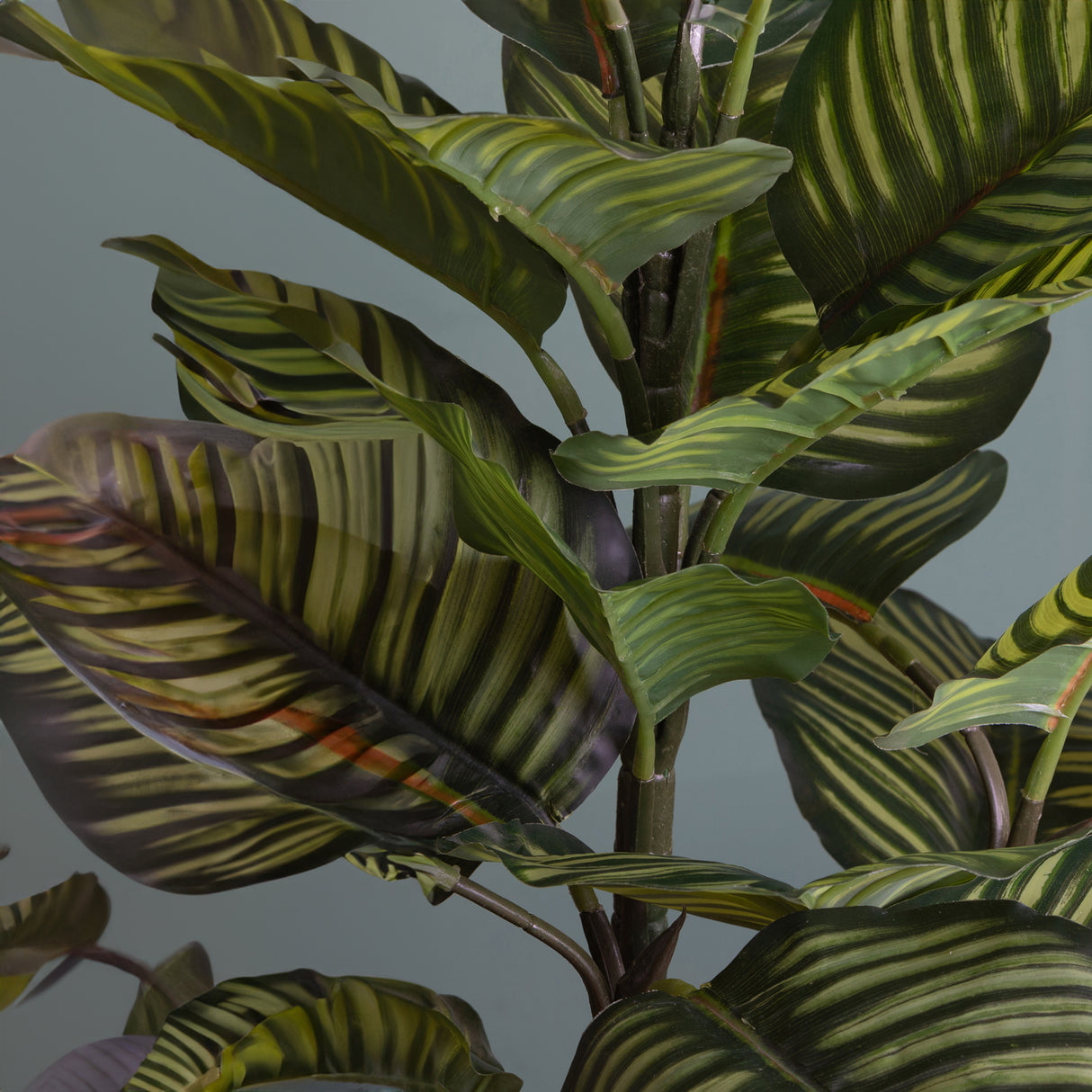 Verde artificiale Calathea in vaso con 22 foglie • 85 cm