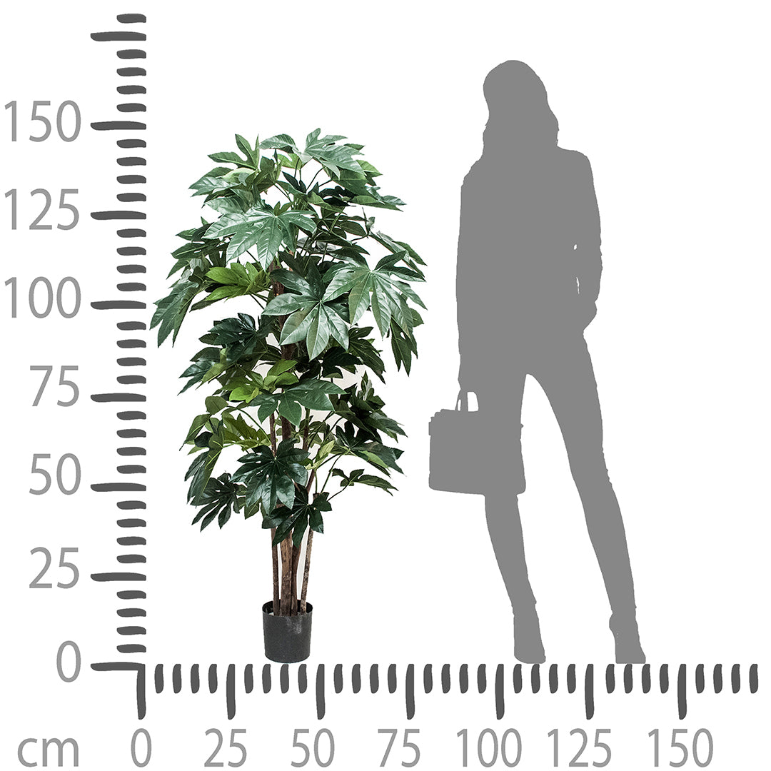 Verde artificiale Aralia composta da 60 foglie • 150 cm
