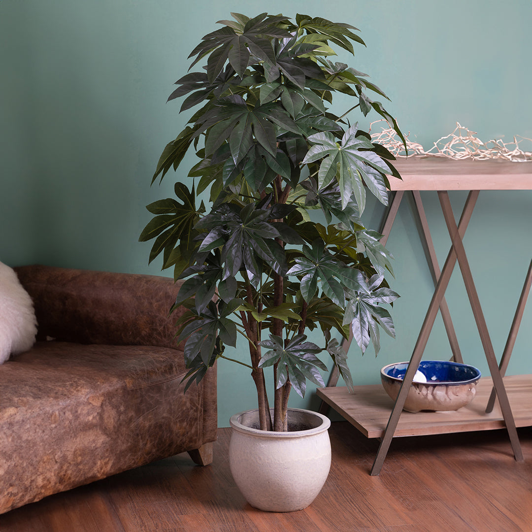 Verde artificiale Aralia composta da 60 foglie • 150 cm