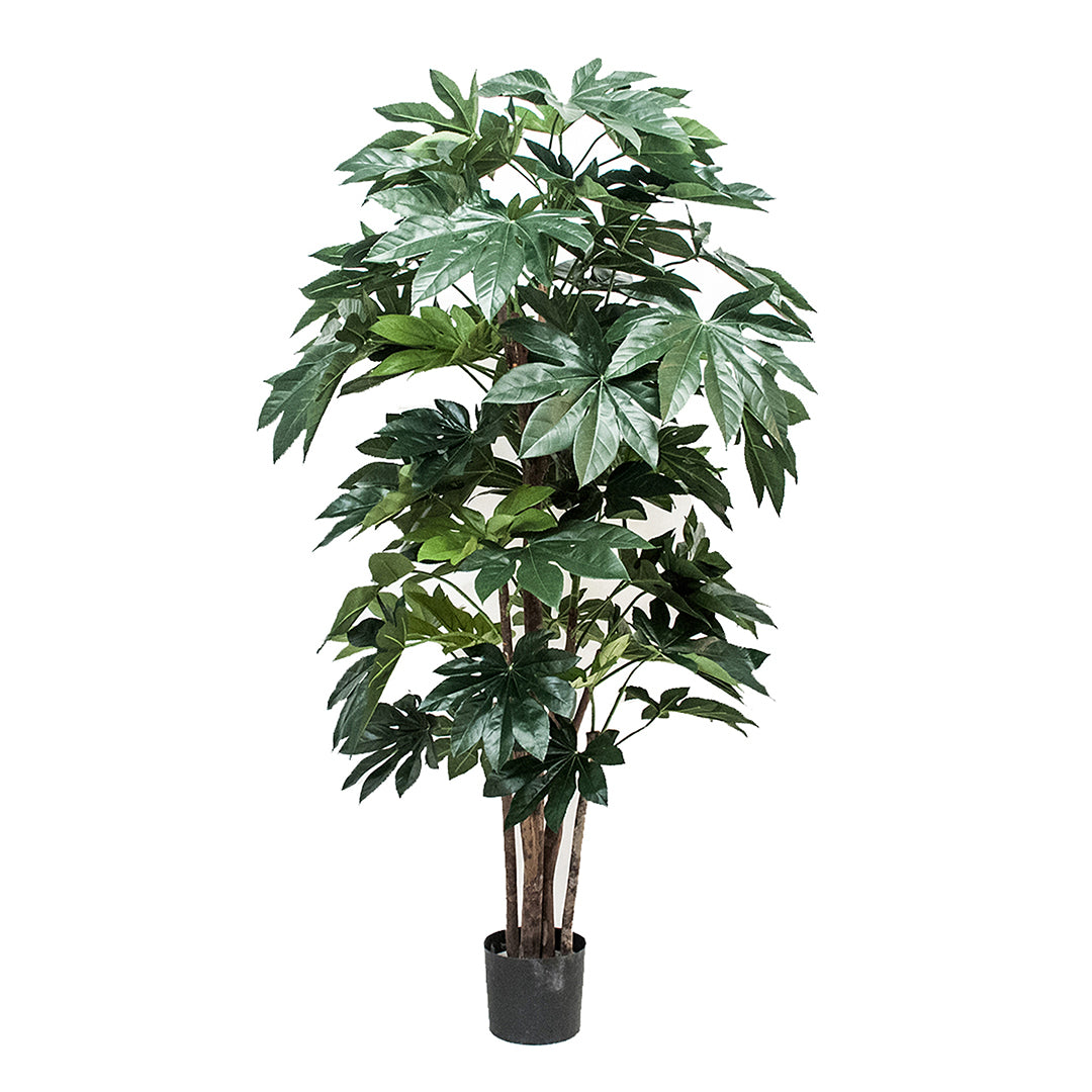 Verde artificiale Aralia composta da 60 foglie • 150 cm