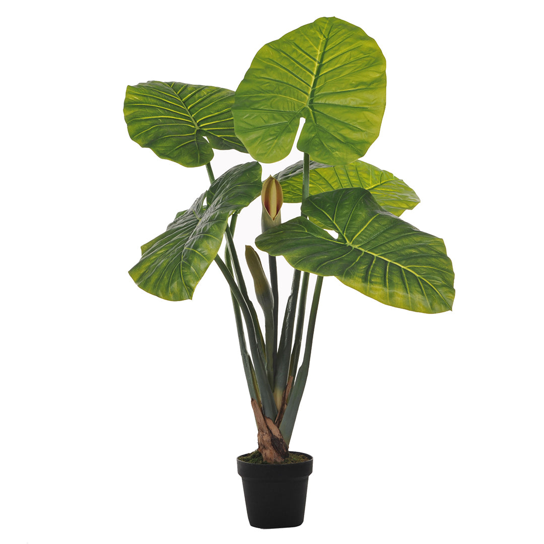 Verde artificiale Taro con vaso • 105 cm