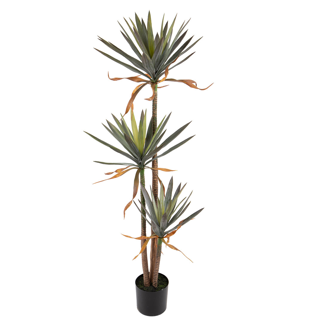Verde artificiale Pianta yucca vaso 3 diramazioni • 170 cm