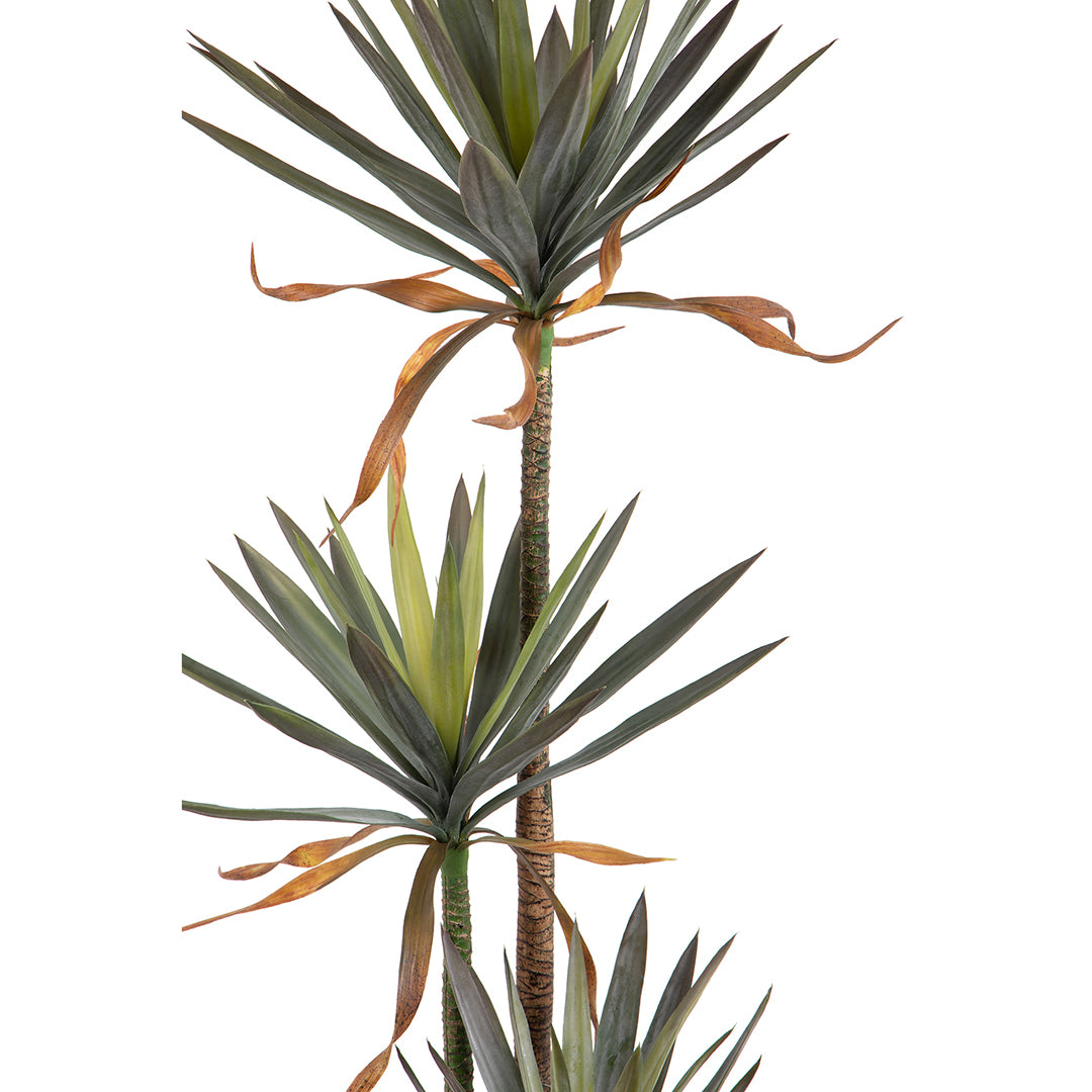 Verde artificiale Pianta yucca vaso 3 diramazioni • 170 cm