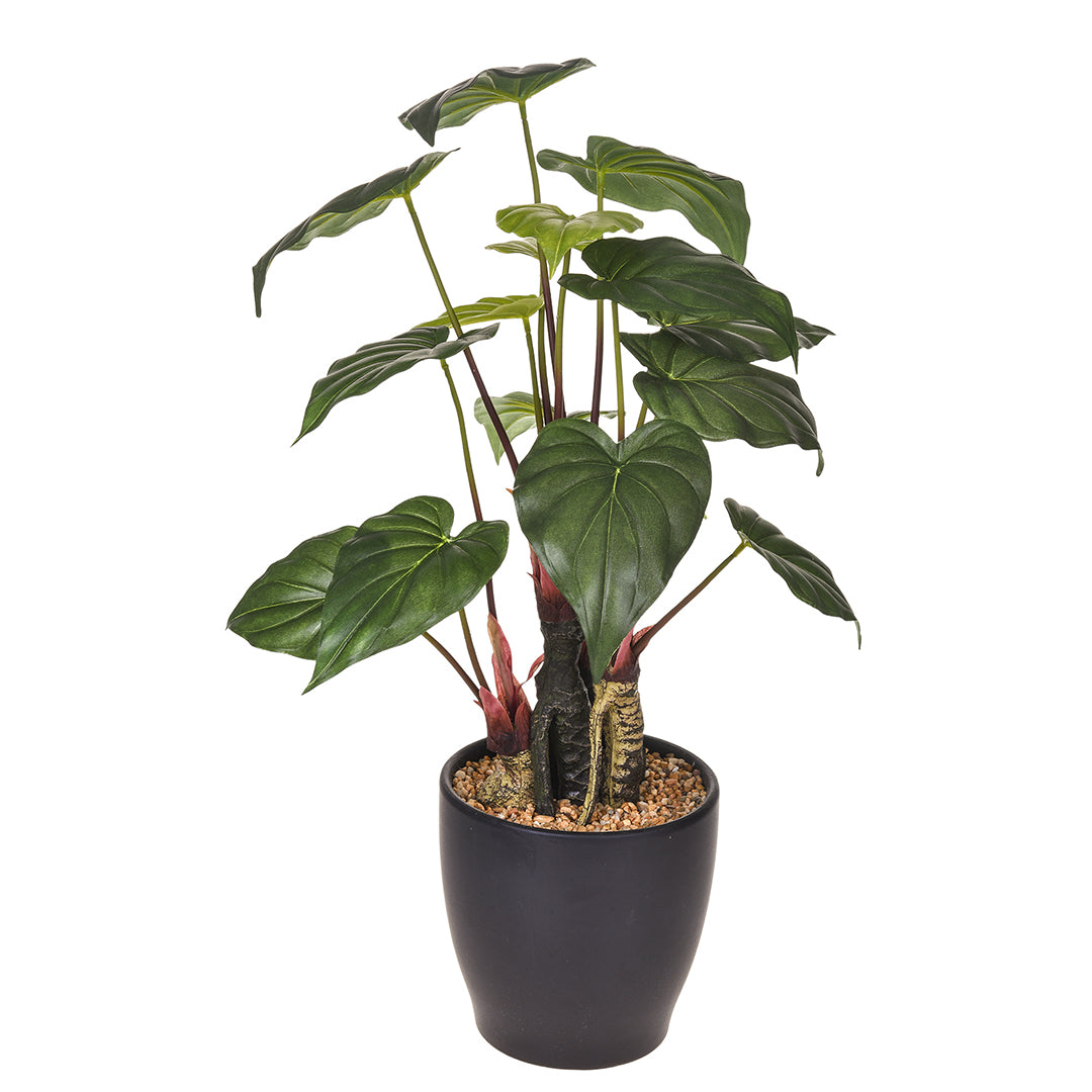 Verde artificiale Anthirium con vaso • 56 cm