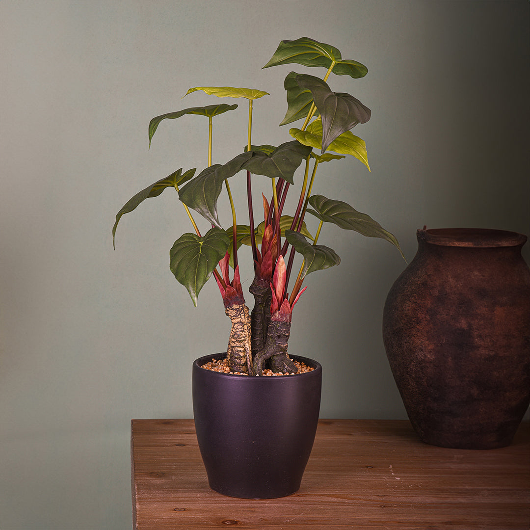 Verde artificiale Anthirium con vaso • 56 cm