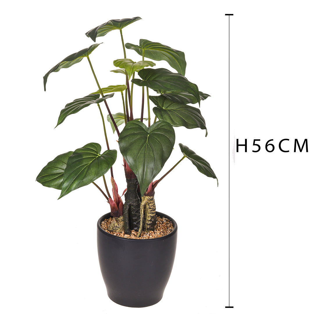 Verde artificiale Anthirium con vaso • 56 cm