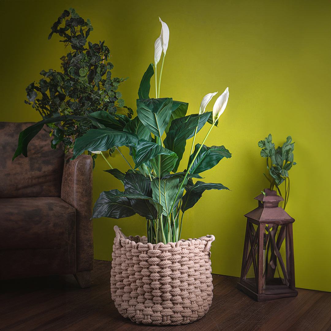 Pianta artificiale Succulent con vaso • 128 cm