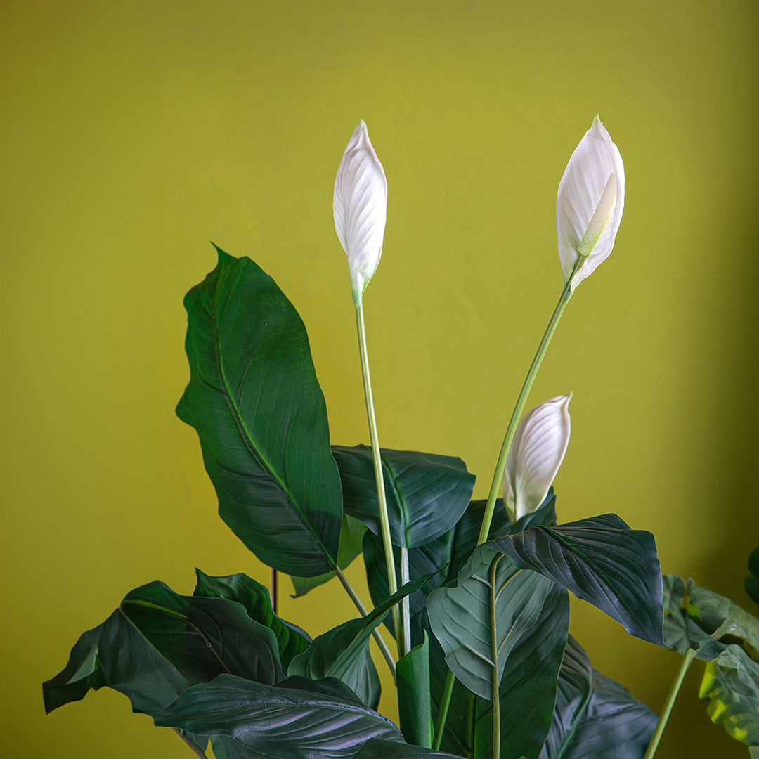 Pianta artificiale Succulent con vaso • 128 cm