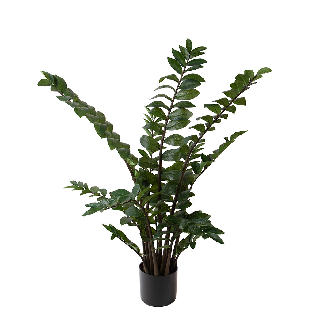 Zamifolia 231 foglie con Vaso • 110 cm