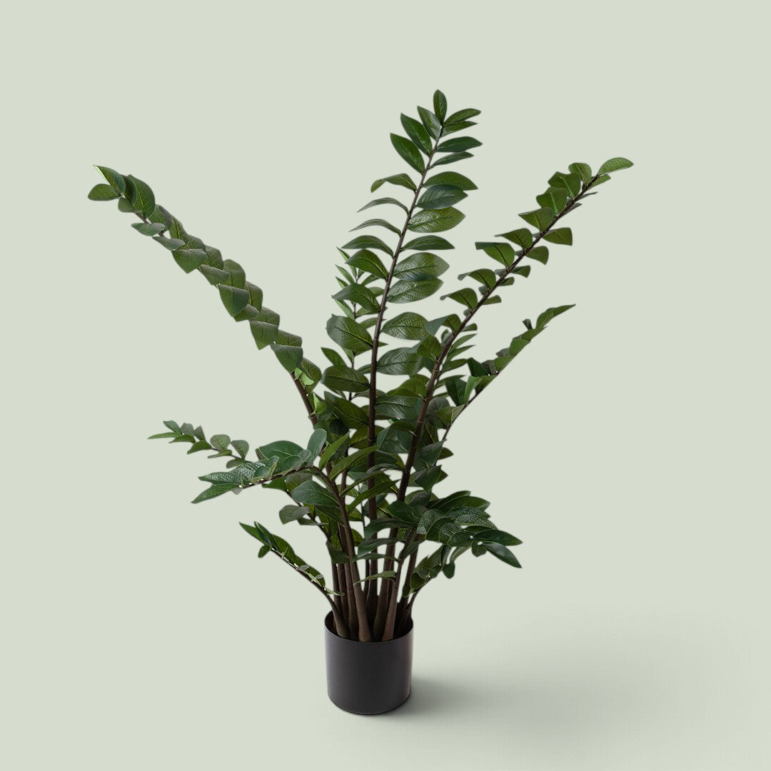 Zamifolia 231 foglie con Vaso • 110 cm