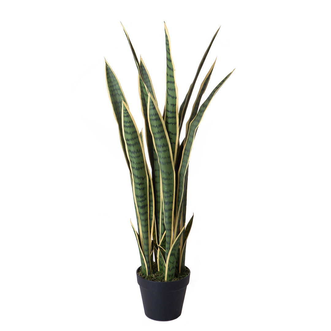 Verde artificiale Sanseveria 25 foglie vaso • 91,5 cm