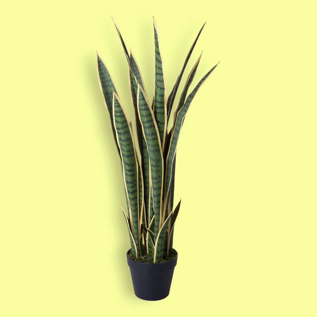Verde artificiale Sanseveria 25 foglie vaso • 91,5 cm
