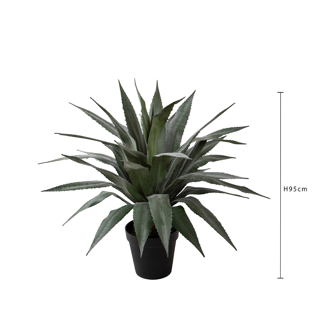 Agave 26 foglie con Vaso • 95 cm