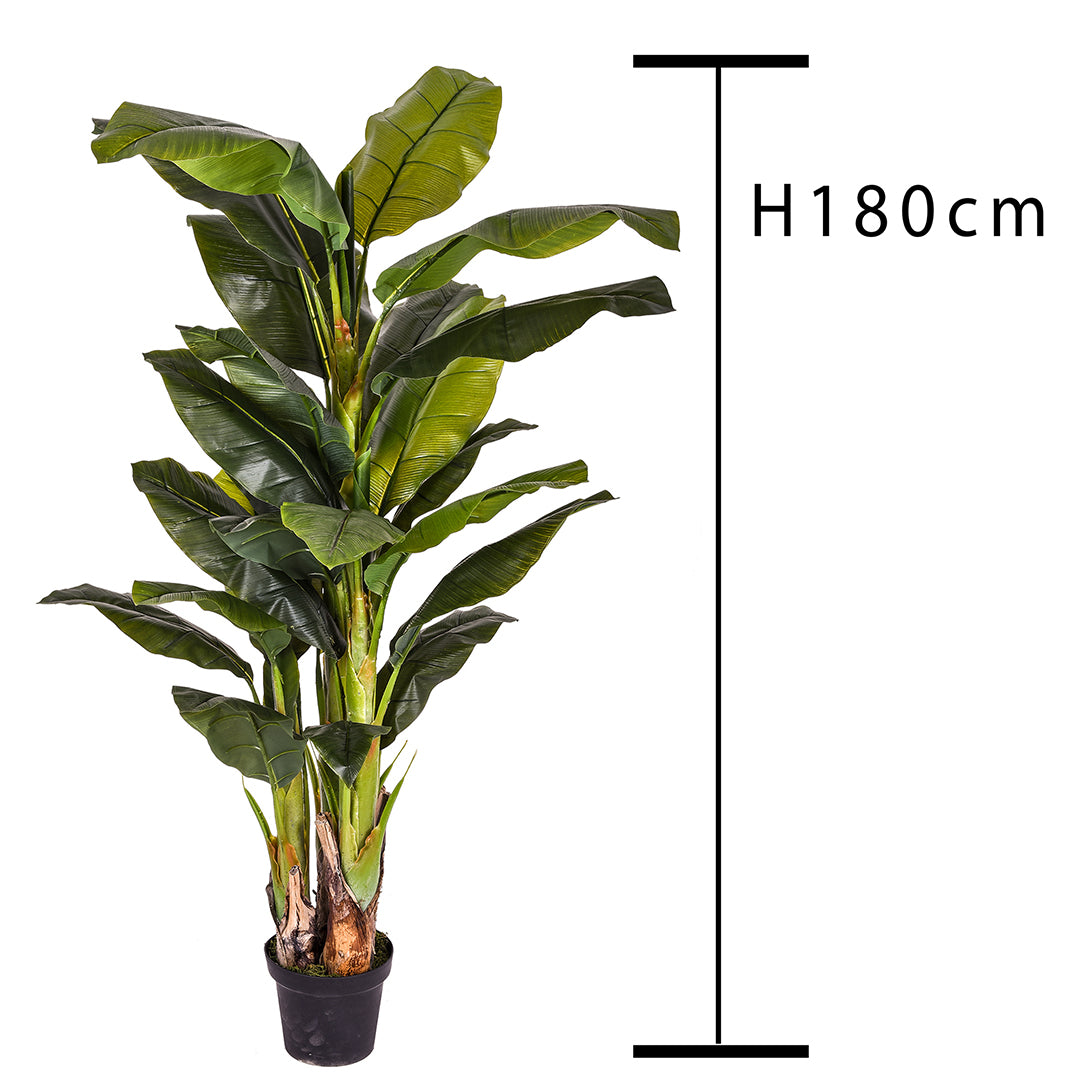 Verde artificiale Banana con vaso • 180 cm