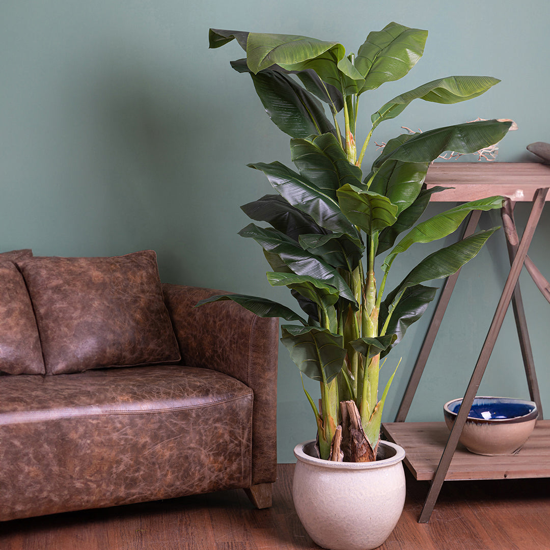 Verde artificiale Banana con vaso • 180 cm