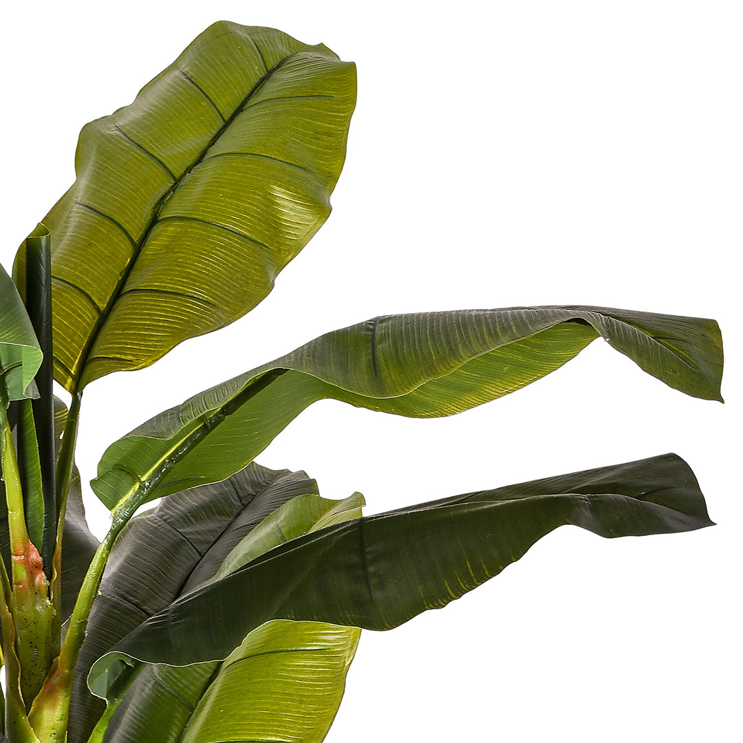 Verde artificiale Banana con vaso • 180 cm