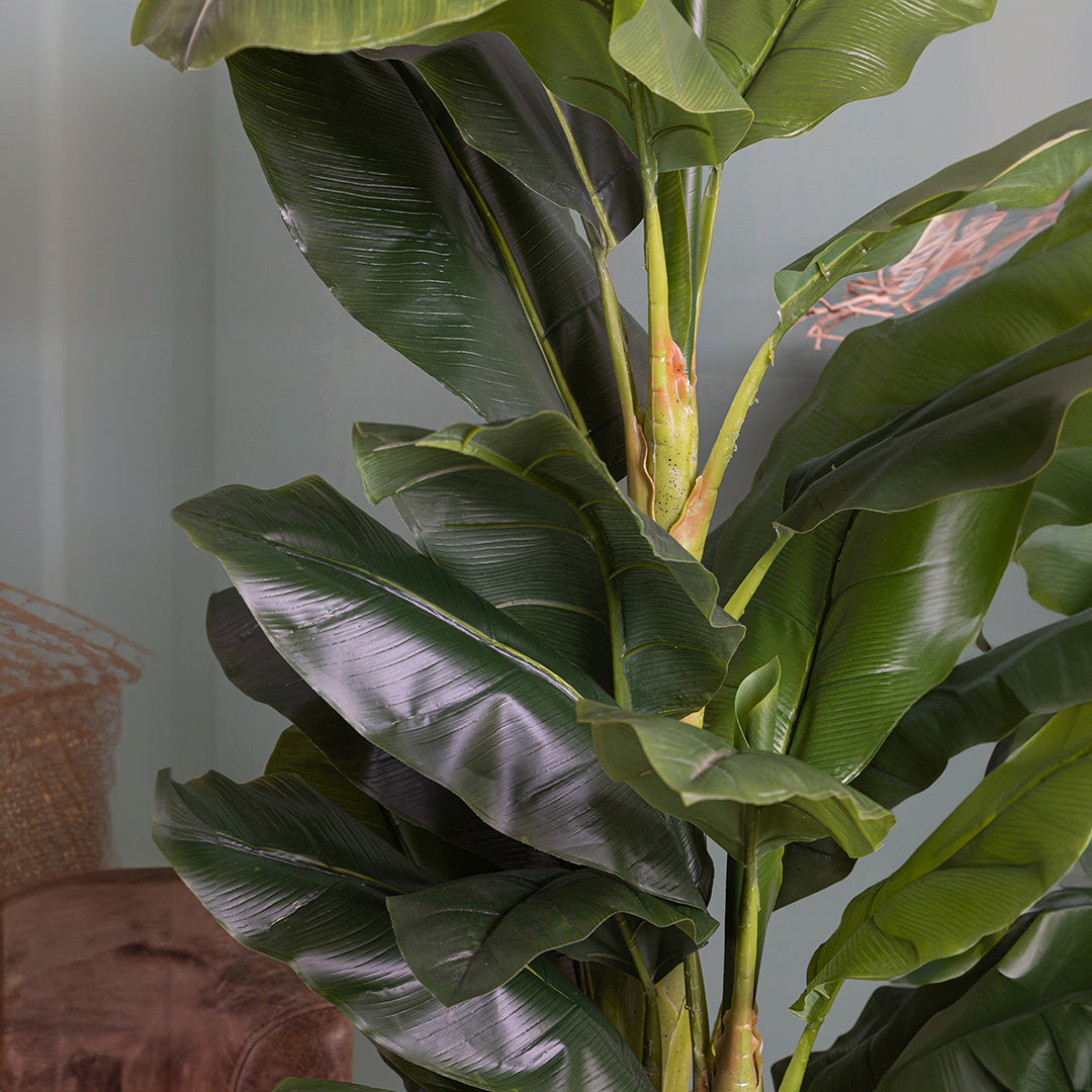Verde artificiale Banana con vaso • 180 cm