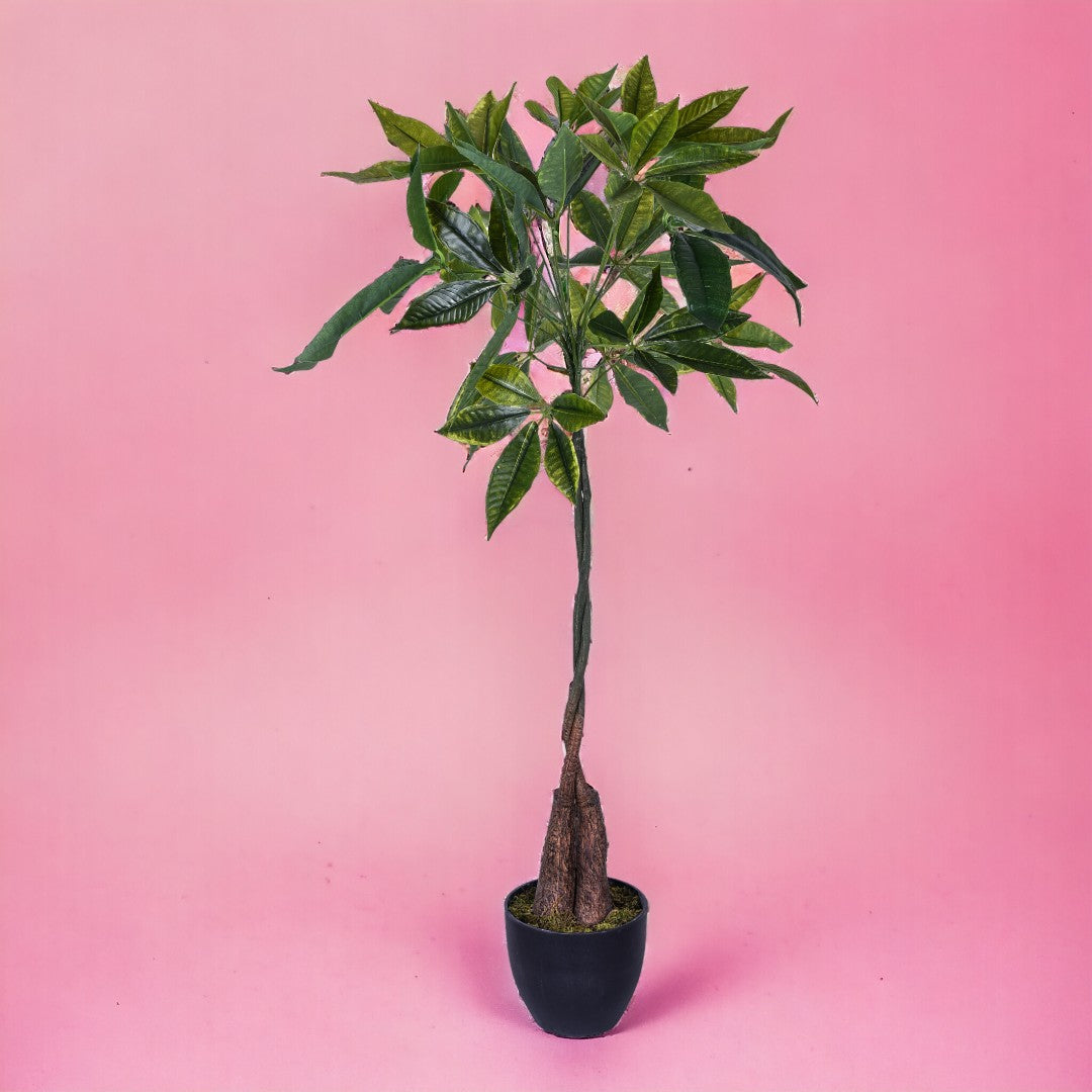 Verde artificiale Pachira con vaso • 115 cm