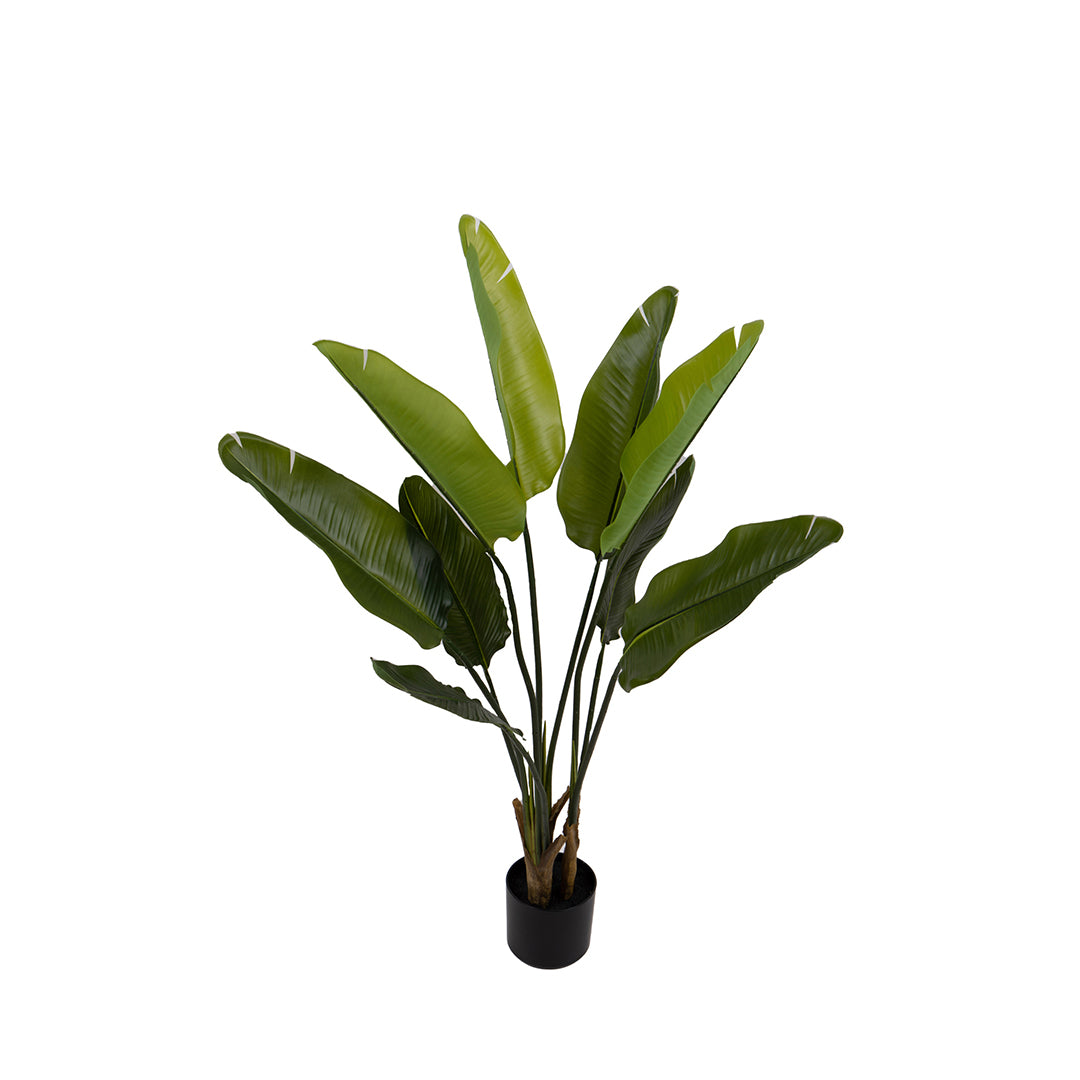 Verde artificiale Real touch sterlizia per 9 con vaso • 110 cm