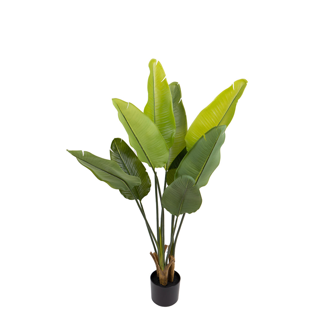 Verde artificiale Real touch sterlizia per 9 con vaso • 110 cm