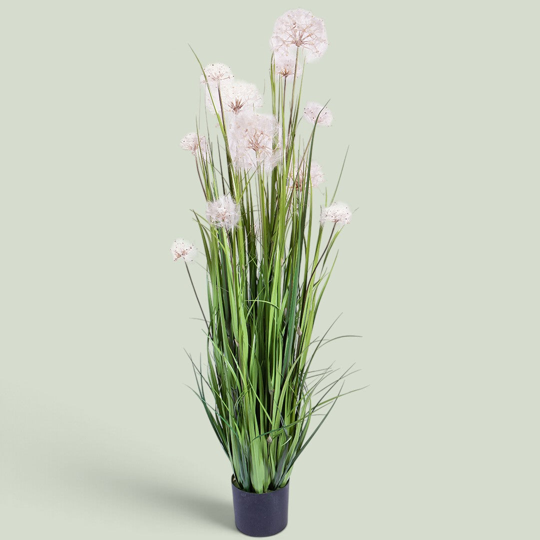 Pianta Dandelion con Vaso • 152 cm