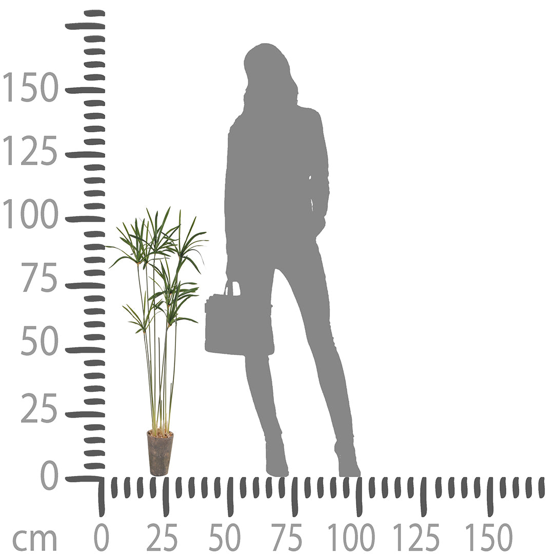 Verde artificiale Papiro country con vaso • 105 cm
