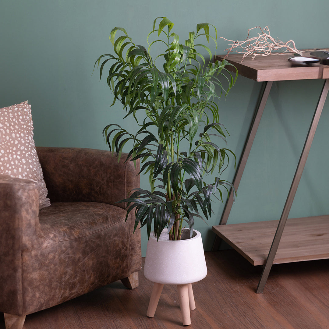 Verde artificiale Kenzia con vaso • 120 cm