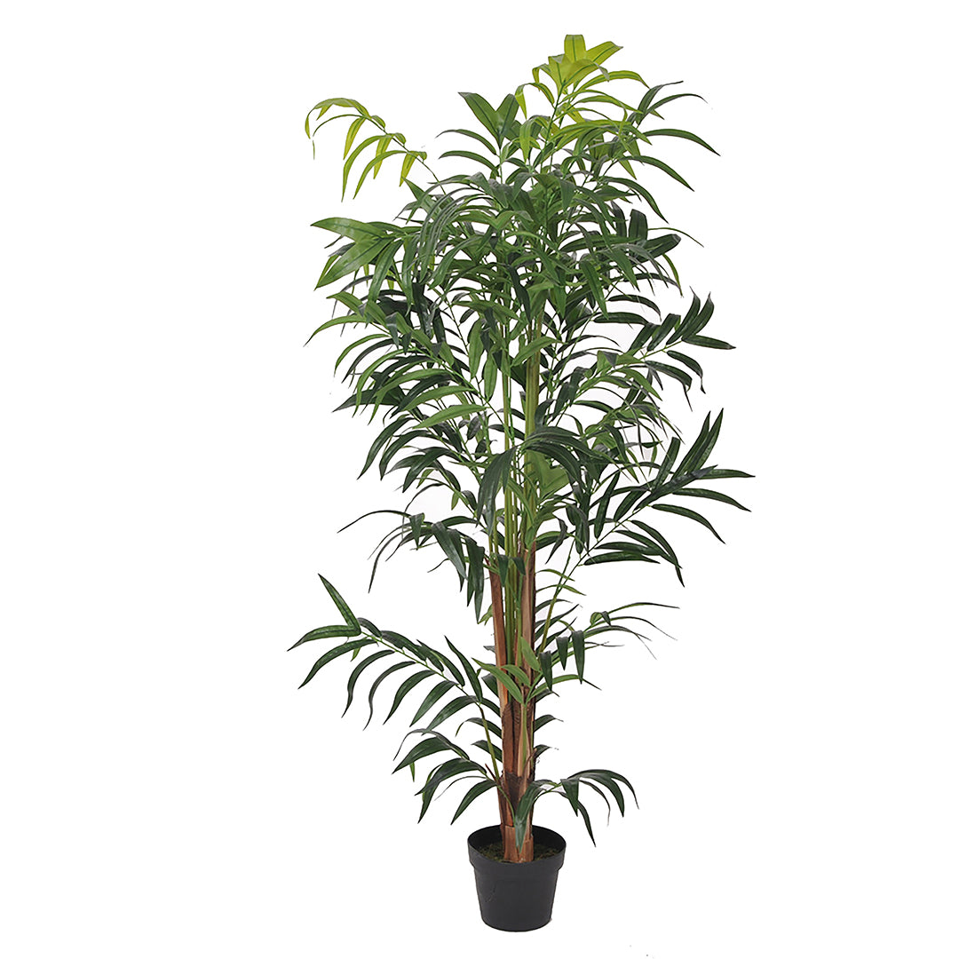 Verde artificiale Kenzia artificiale con vaso nero • 150 cm