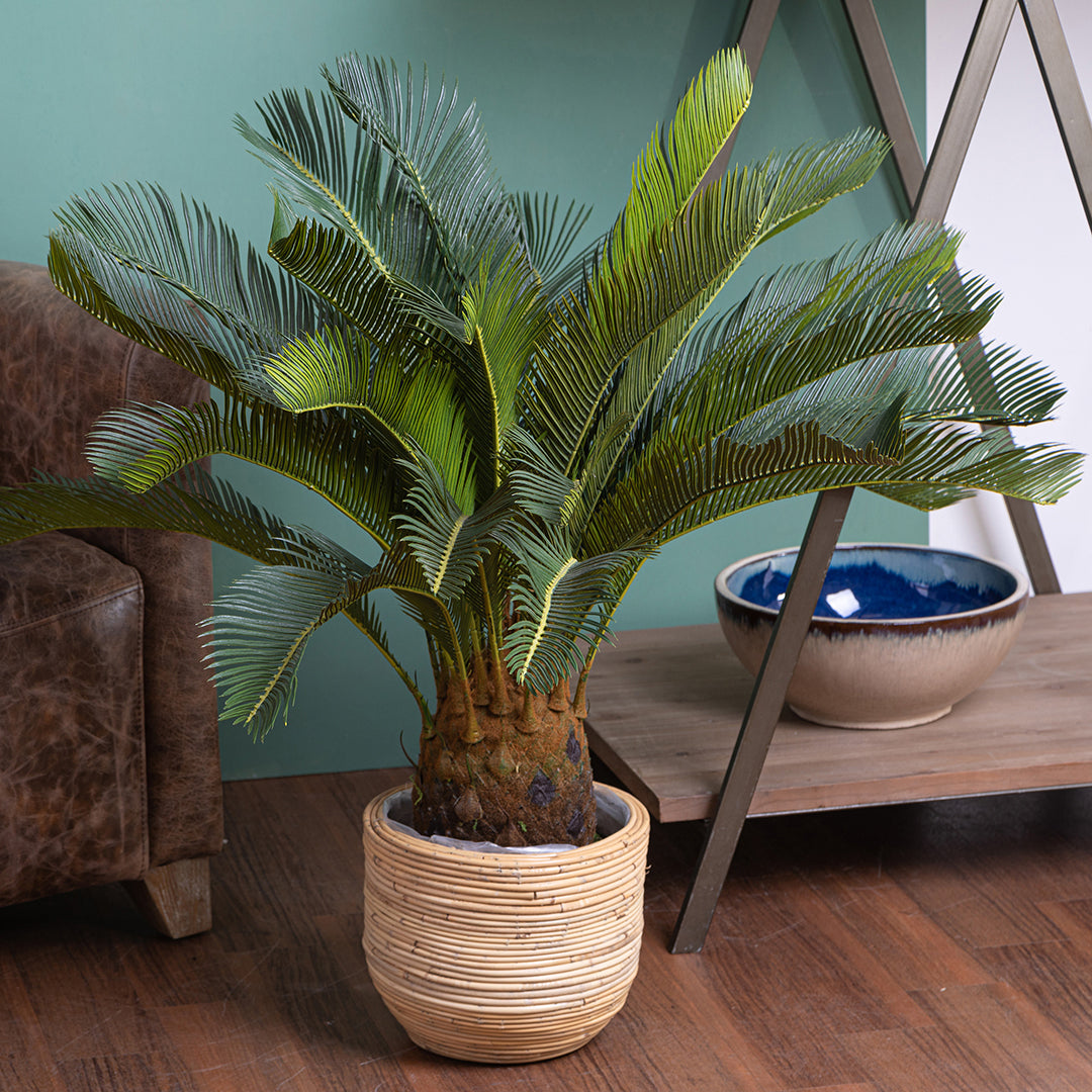 Verde artificiale Cycas con vaso • 93 cm