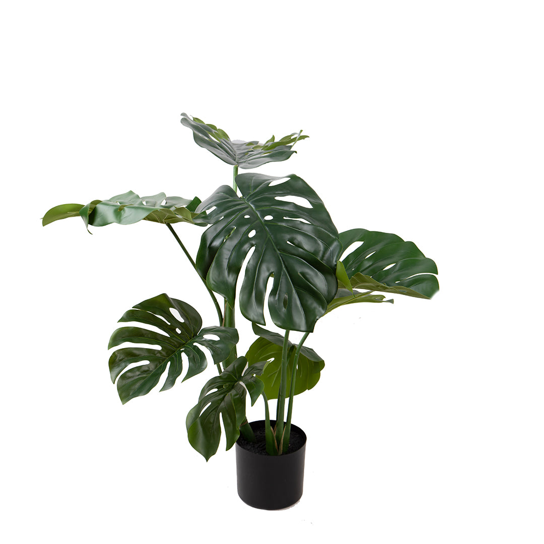 Monstera artificiale • 75 cm