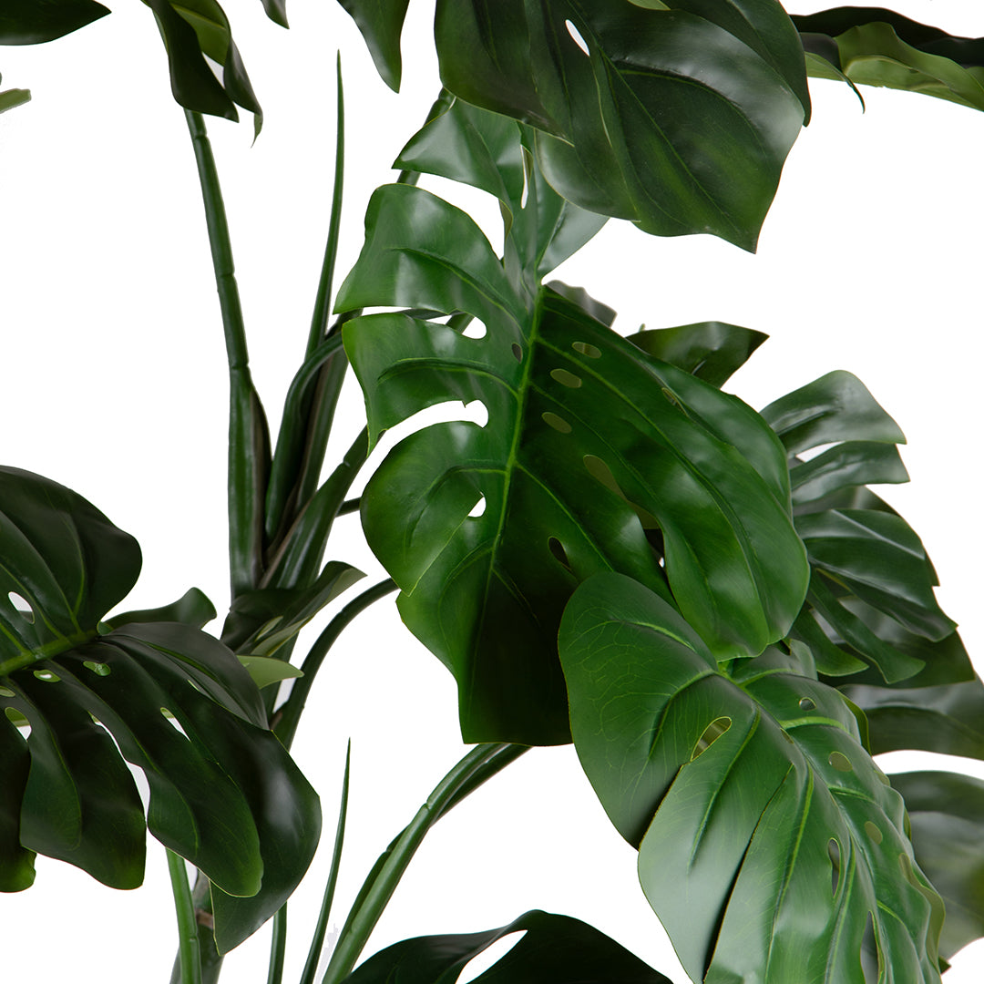Monstera artificiale • 210 cm