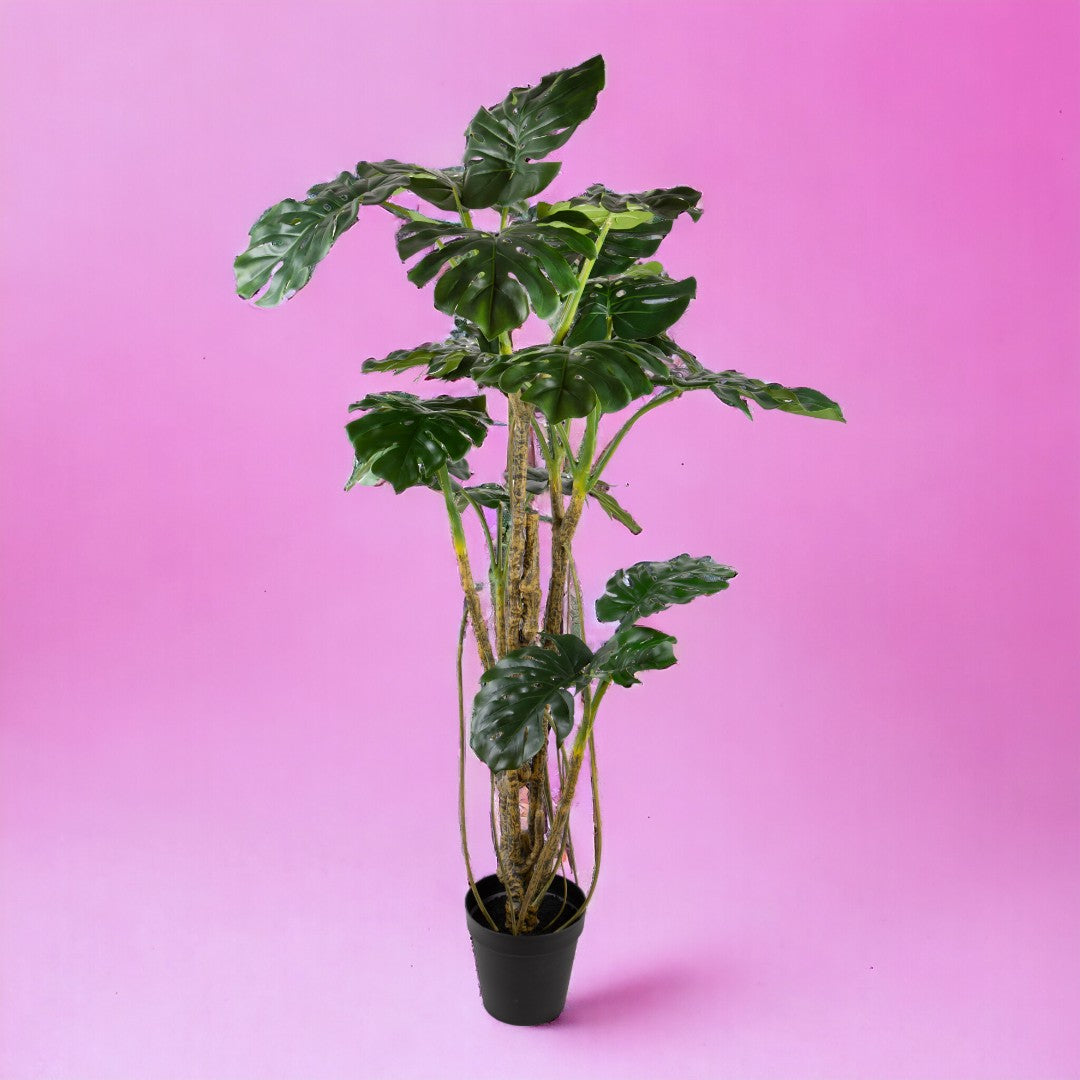 Monstera artificiale • 210 cm