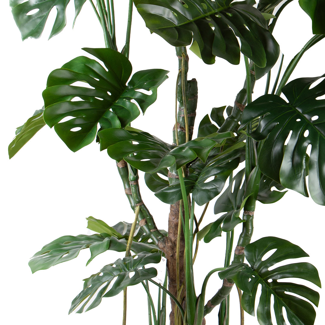 Monstera artificiale • 240