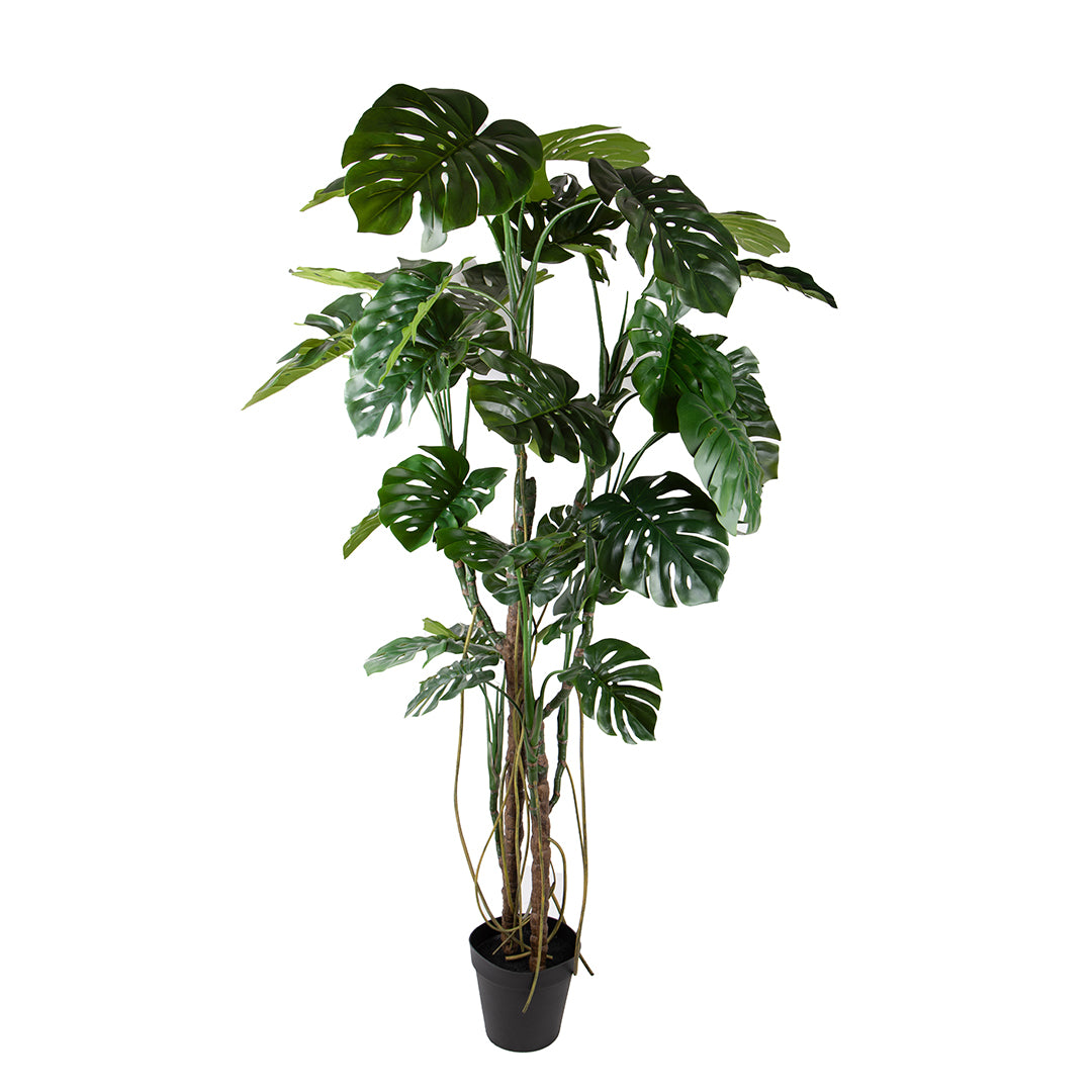 Monstera artificiale • 240