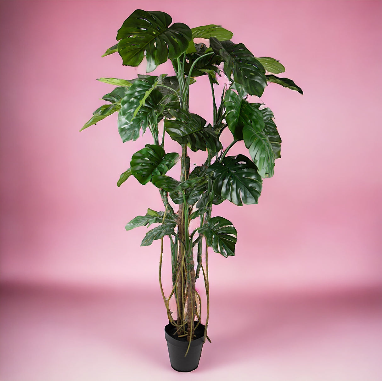 Monstera artificiale • 240