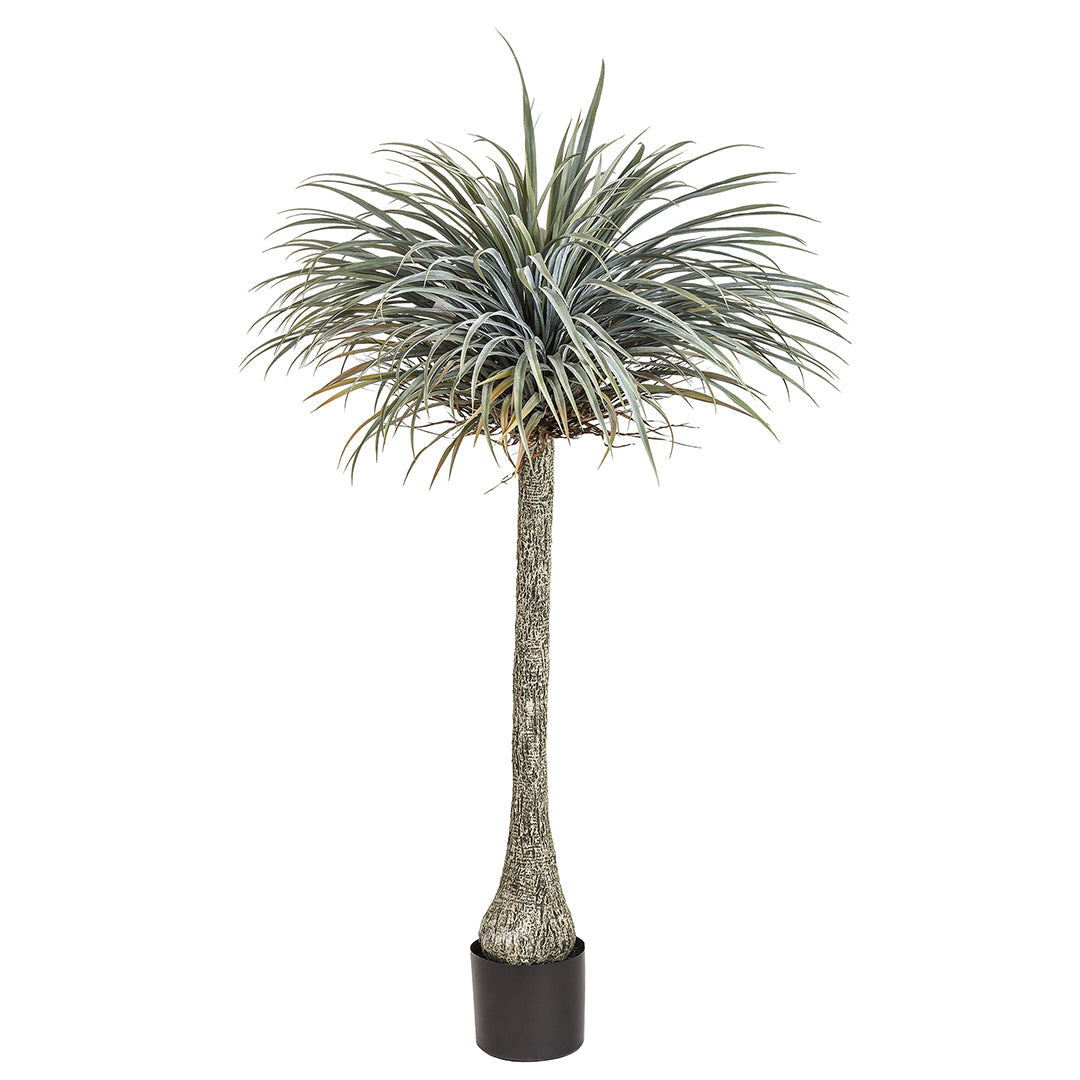 Pianta di Yucca artificiale con vaso • 180 cm