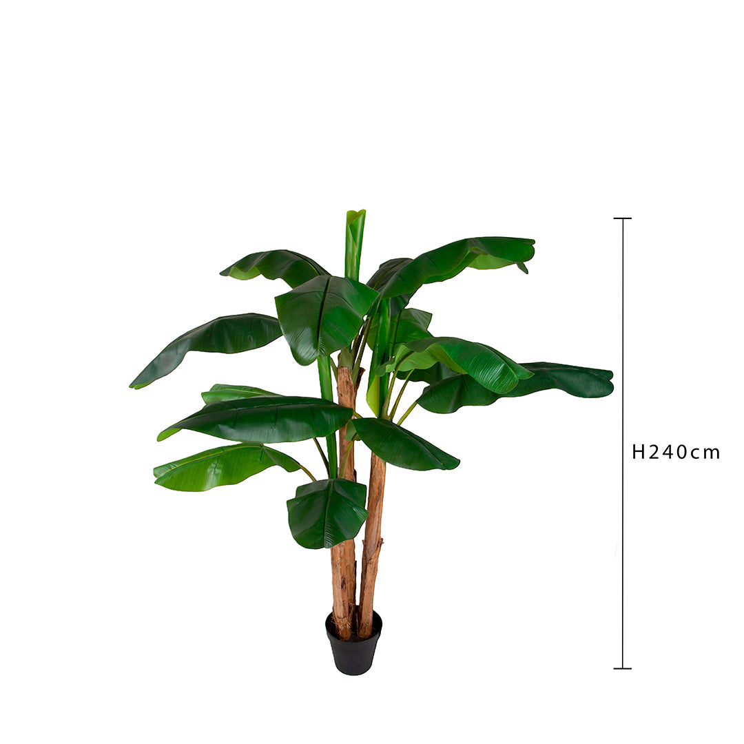 Verde artificiale Banano con vaso • 240 cm