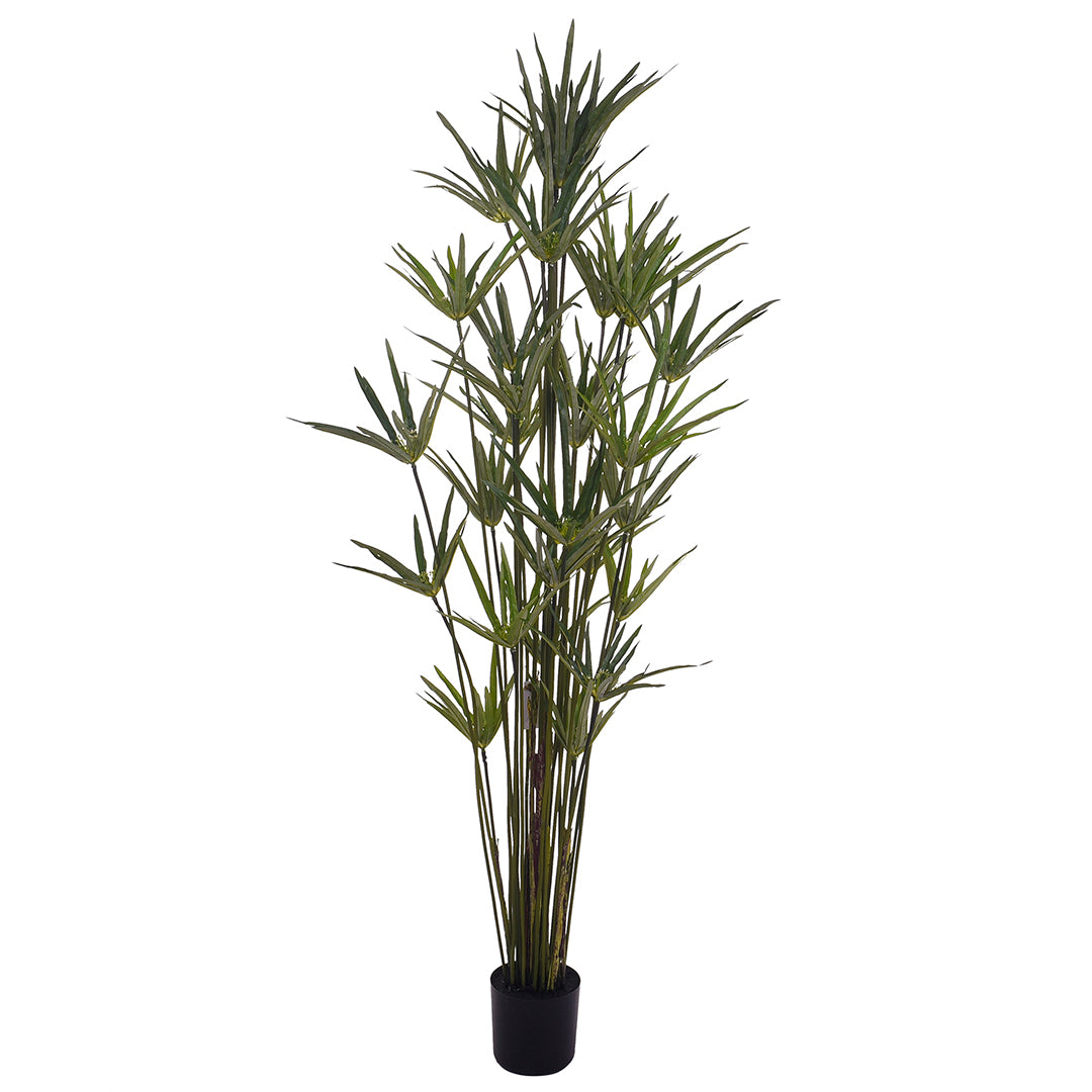 Verde artificiale Papiro con vaso • 150 cm