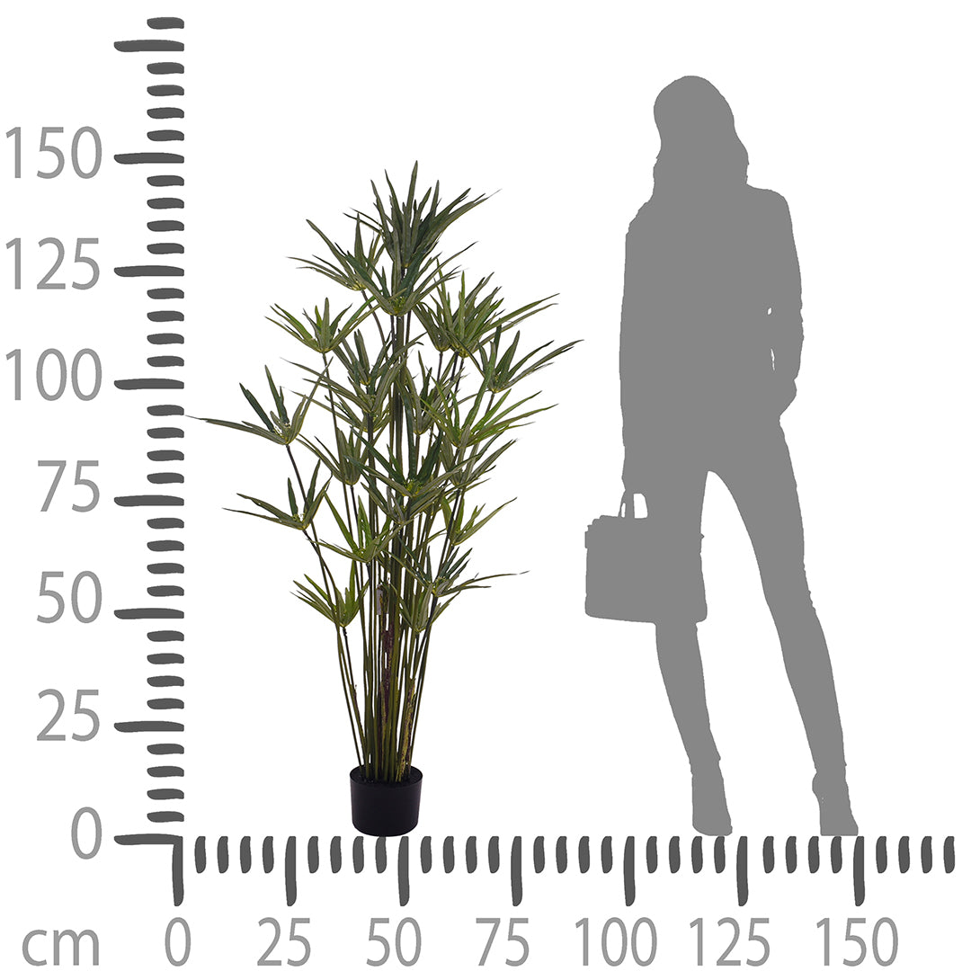 Verde artificiale Papiro con vaso • 150 cm