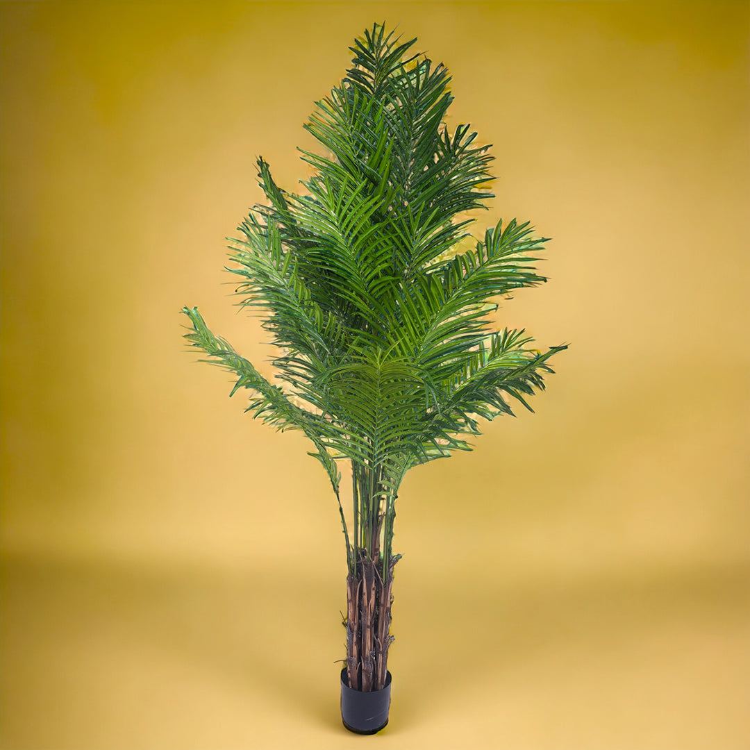 Verde artificiale Kenzia artificiale con vaso nero • 210 cm