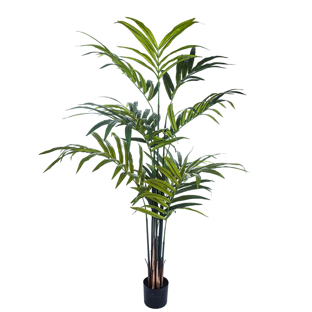 Verde artificiale Kenzia artificiale con vaso nero • 210 cm