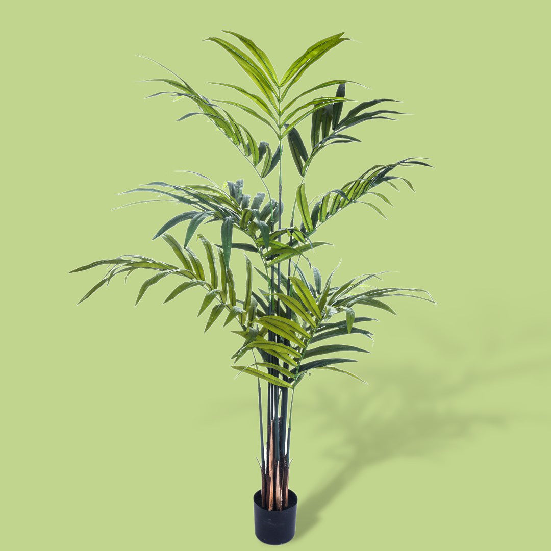 Verde artificiale Kenzia artificiale con vaso nero • 210 cm