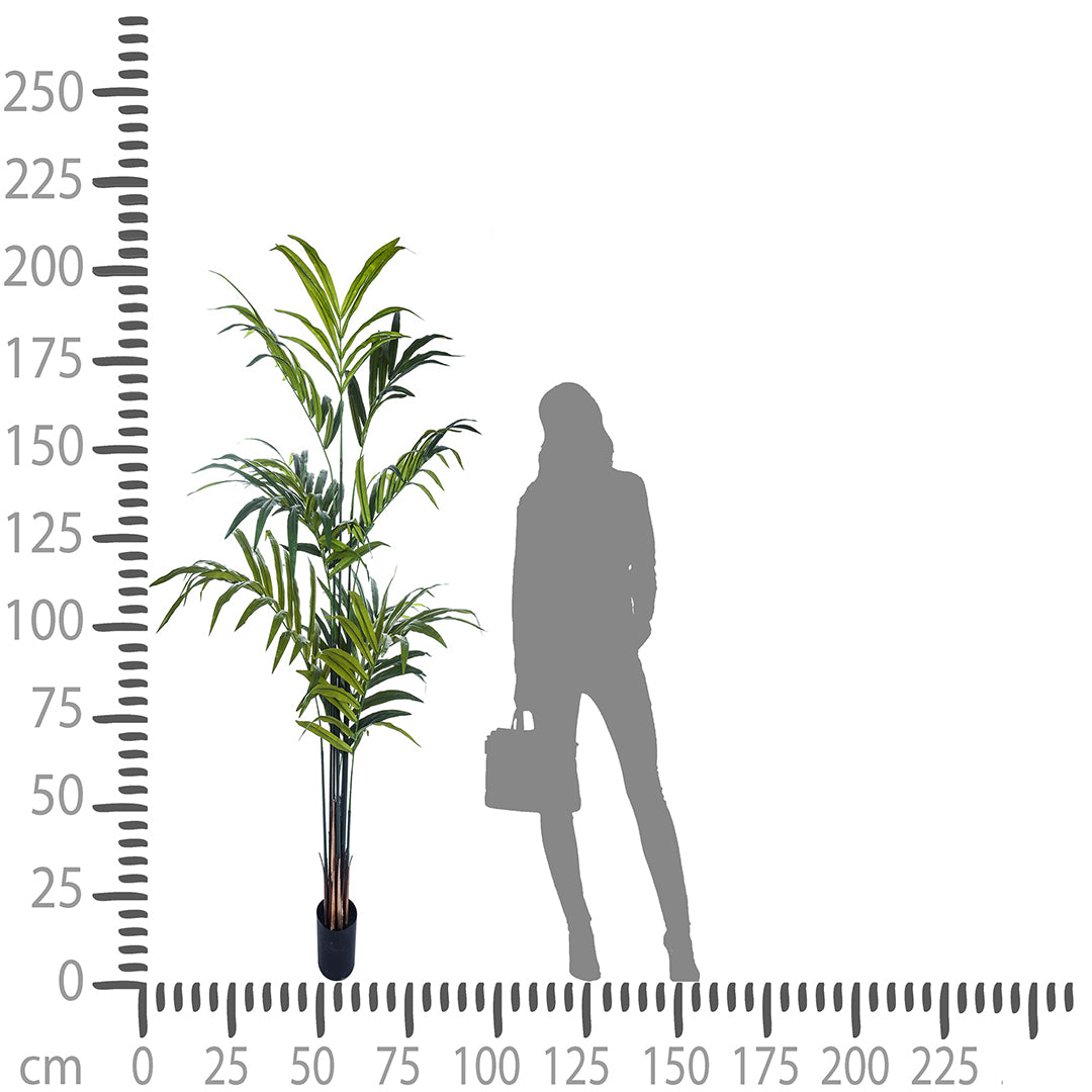 Verde artificiale Kenzia artificiale con vaso nero • 210 cm